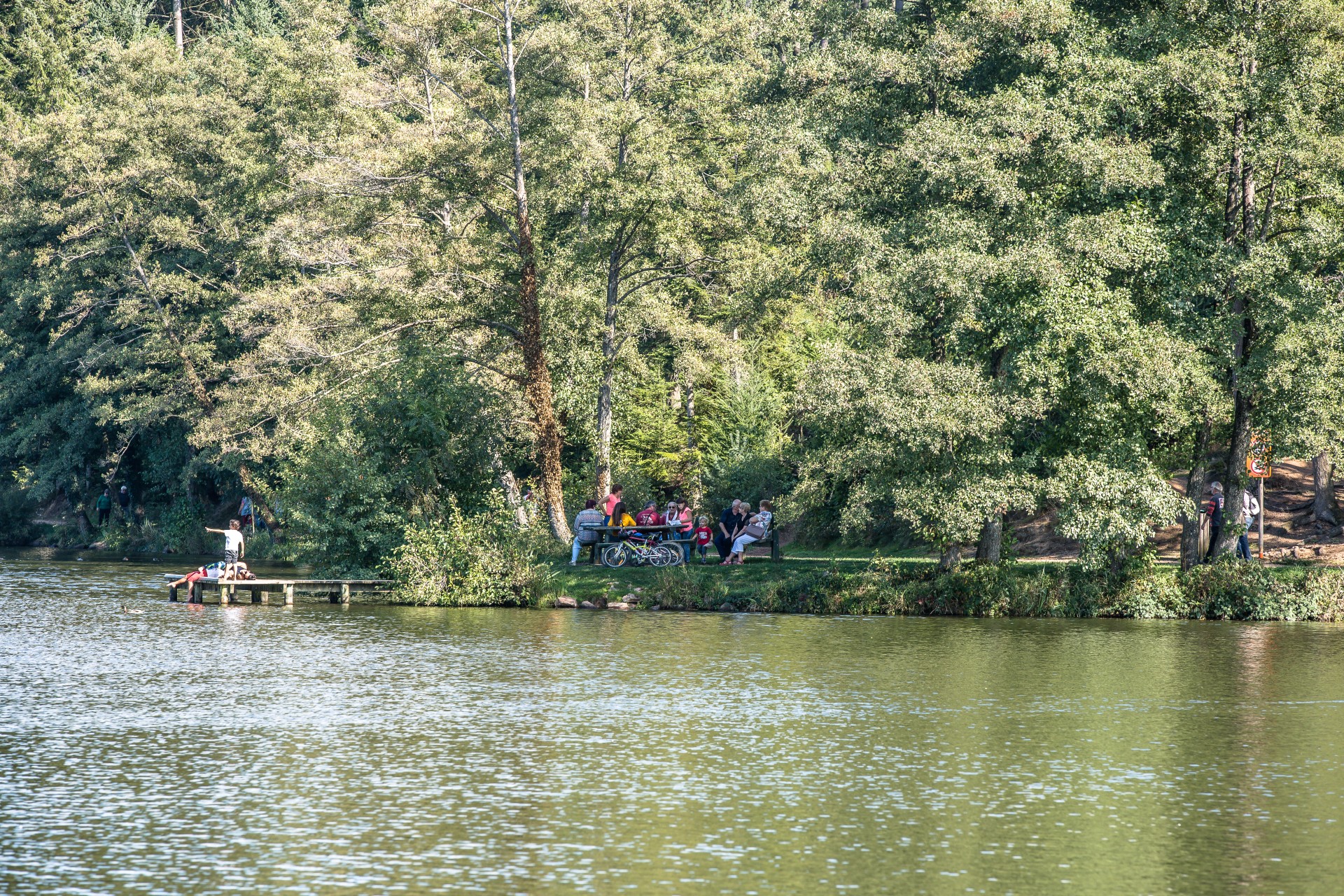 Lac des Sapin au premier plan, un groupe de personnes au second. Deux d'entre-elles sont installées sur un ponton et les autres papotent autour d'une table de pique-nique sous de grands arbres.