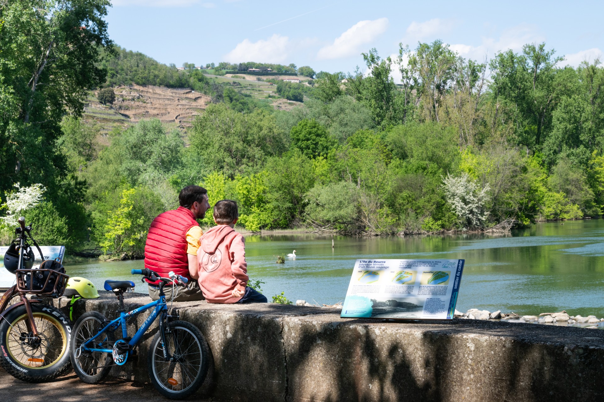 Un père et son fils en promenade à vélo à l'arrêt, assis sur un muret sur la ViaRhôna, contemplant une lône du Rhône avec des canards sur l'eau